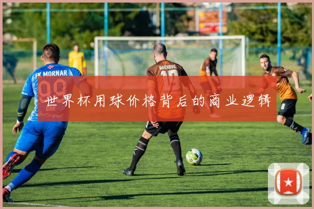 世界杯用球价格背后的商业逻辑