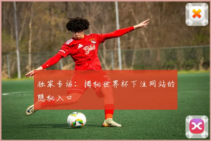 独家专访：揭秘世界杯下注网站的隐秘入口