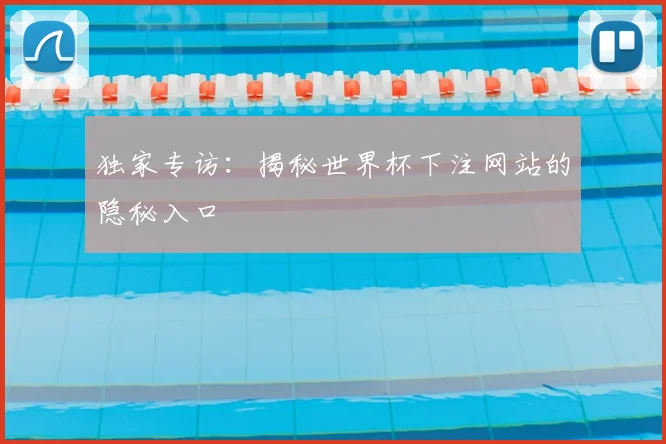 独家专访:揭秘世界杯下注网站的隐秘入口
