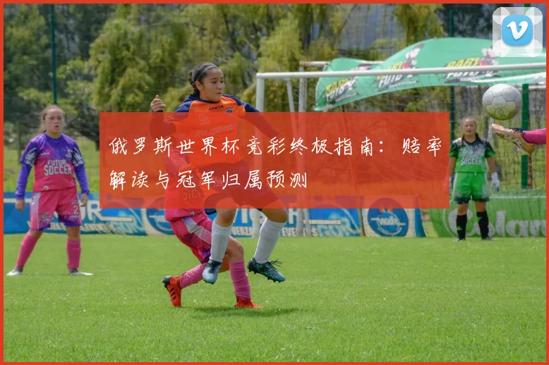 俄罗斯世界杯竞彩终极指南：赔率解读与冠军归属预测