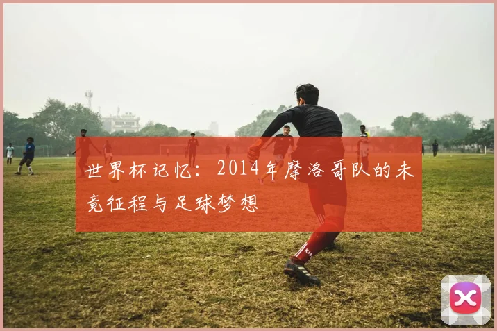 世界杯记忆：2014年摩洛哥队的未竟征程与足球梦想