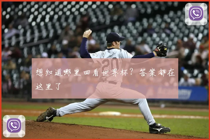 想知道哪里回看世界杯？答案都在这里了