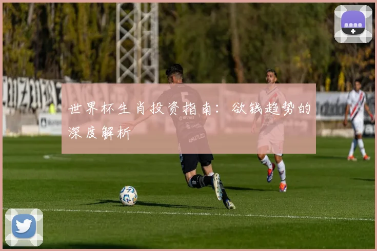 世界杯生肖投资指南：欲钱趋势的深度解析
