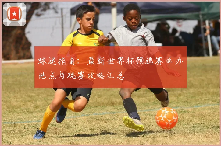 球迷指南:最新世界杯预选赛举办地点与观赛攻略汇总