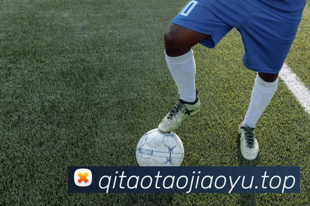 mksports官网登录入口品牌故事